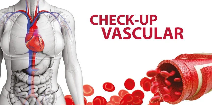 Imagem Check-up Vascular Clínica Vessel